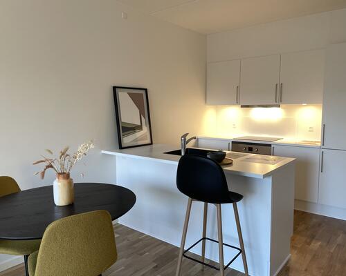 Nyere 2. Værelses lejlighed i Banebyen