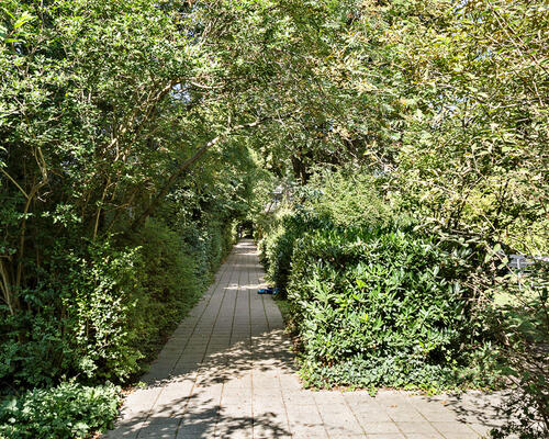 2 værelses lejlighed i København V