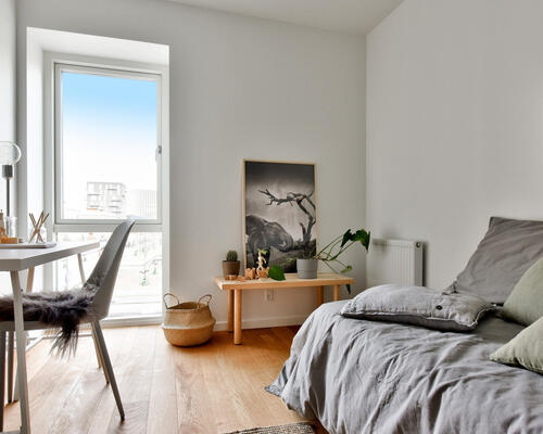 2 værelses lejlighed i København S