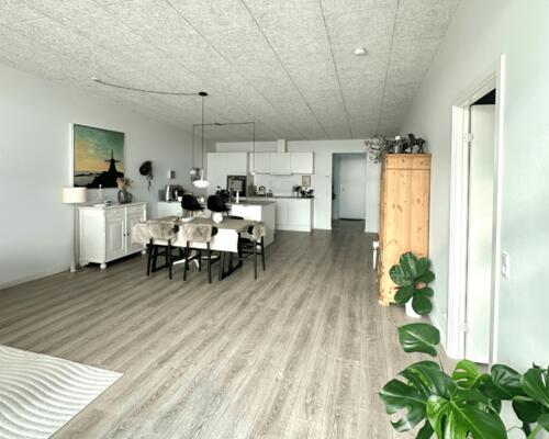 3 værelses hus i Hjørring