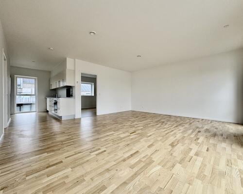 3 værelses lejlighed i Odense S