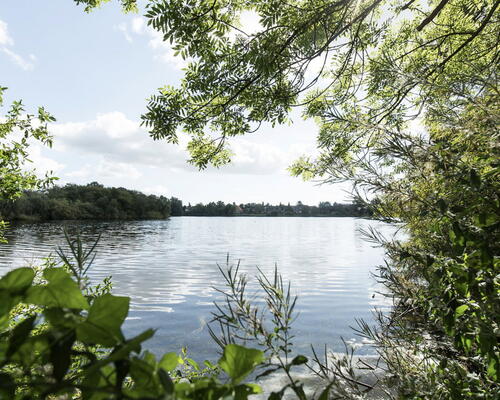 Lys og rummelig fireværelses lejlighed i Bygården, Tingbjerg