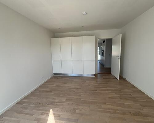 Eksklusiv 3 vær. lejlighed i Vejle Centrum