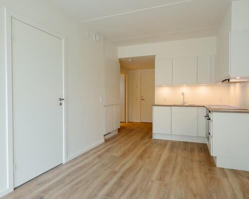 2 værelses lejlighed i Odense M