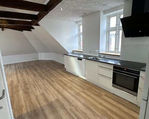 Super lækker lys 3 vær. lejlighed (evt. dele) i Centrum.