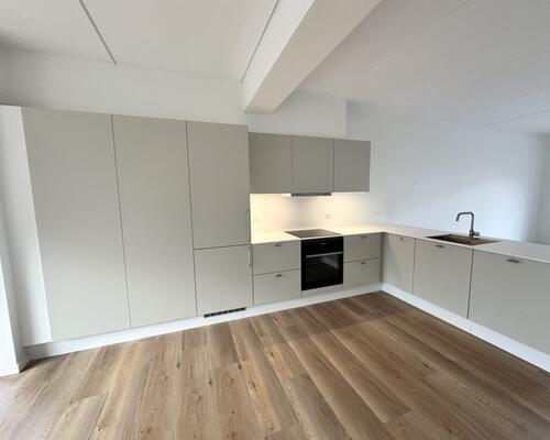 3 værelses lejlighed i Nørresundby