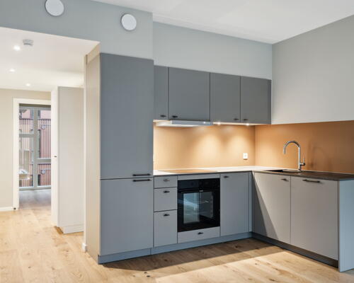 UN17 Søen - Velindrettet 2 vær. lejebolig med altan og udsigt til Søen og Fælleden