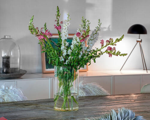 6 værelses hus i Humlebæk