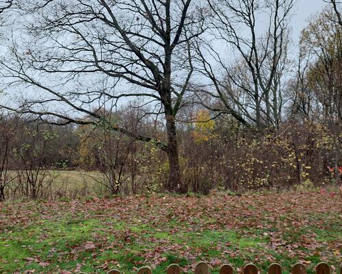 2 værelses lejlighed i Skive