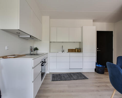 2 værelses lejlighed i Aalborg SV