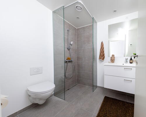 4 værelses lejlighed i Birkerød