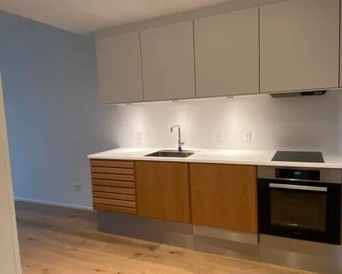 2 værelses lejlighed i Århus C