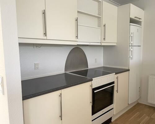 Moderne rækkehus med egen have og 2 terrasser