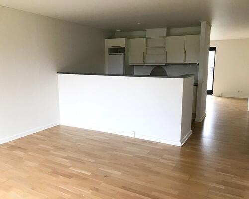 Moderne rækkehus med egen have og 2 terrasser