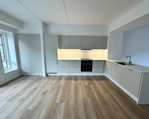 Lys 4-værelses lejlighed med altan i Nørresundby