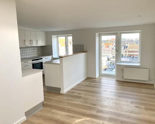 Taglejlighed i Aalborg med altan og udsigt