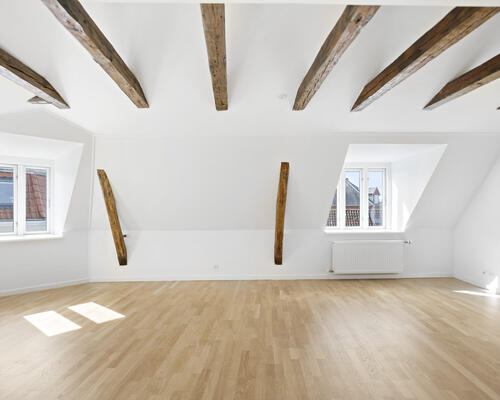 Attraktiv 3-værelses lejlighed i Aalborgs centrum