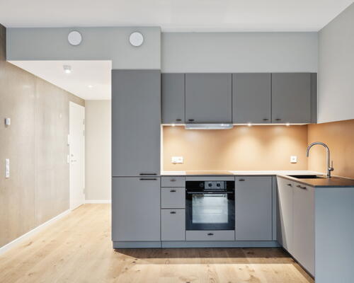 UN17 Søen - Velindrettet 2 vær. lejebolig med altan og udsigt til Søen og Fælleden