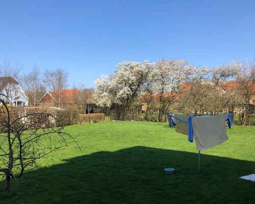 Flot 2. værelses lejlighed i stueetagen