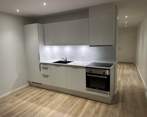 3 værelses lejlighed i Ikast