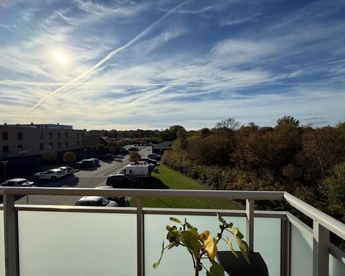 Storslået udsigt til Hirsholmen.