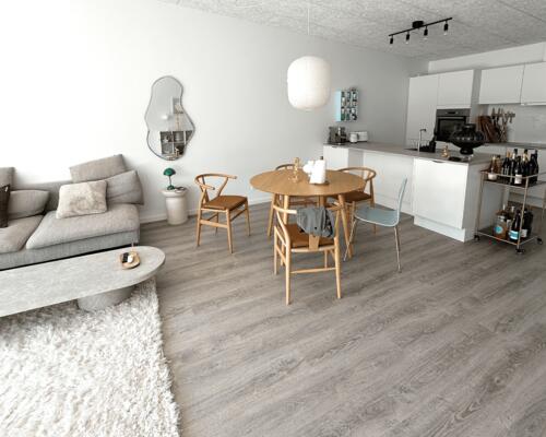 3 værelses hus i Hjørring