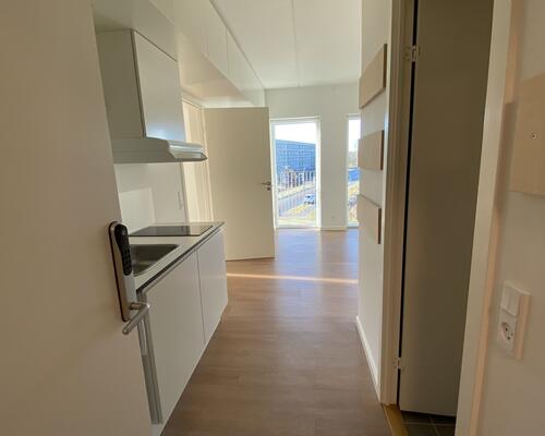 Attraktiv og moderne studie bolig i socialt miljø