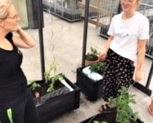 Attraktiv og moderne studie bolig i socialt miljø