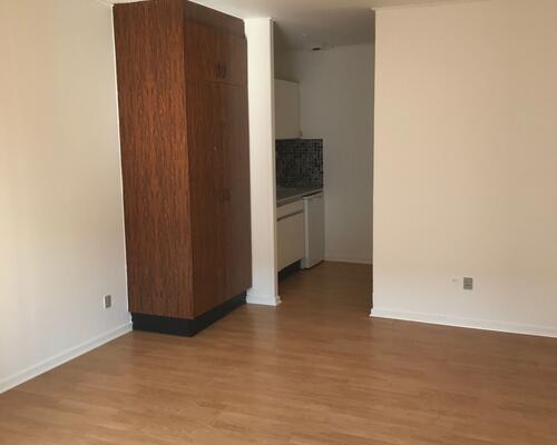 Flot 1 værelses lejlighed