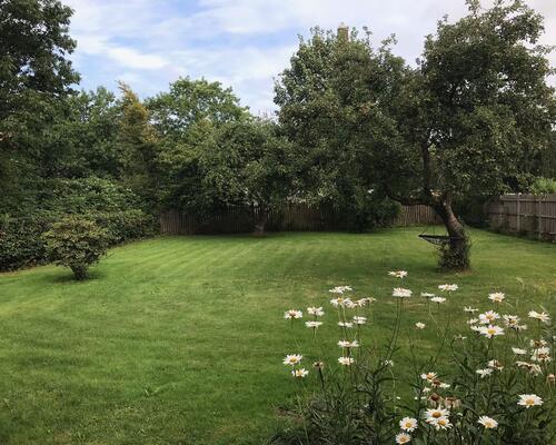 Regulær 2. værelses lejlighed