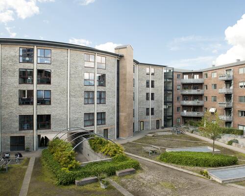 Studiebolig i Aalborg Centrum med mulighed for husdyr