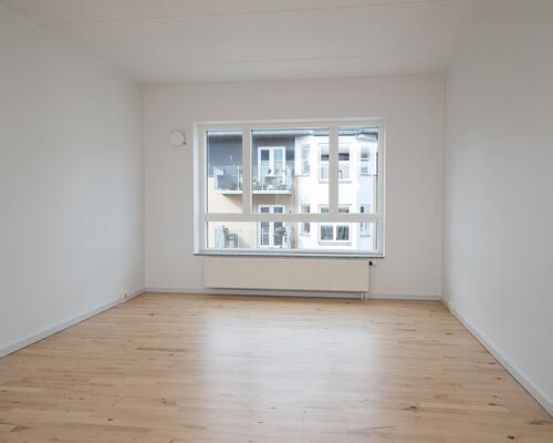 Studiebolig i Aalborg Centrum med mulighed for husdyr