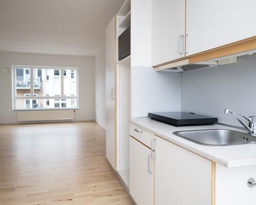 Studiebolig i Aalborg Centrum med mulighed for husdyr