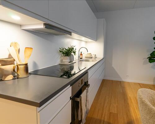 1 værelses lejlighed i København Ø