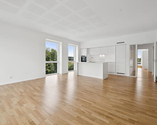 1 værelses lejlighed i Viborg