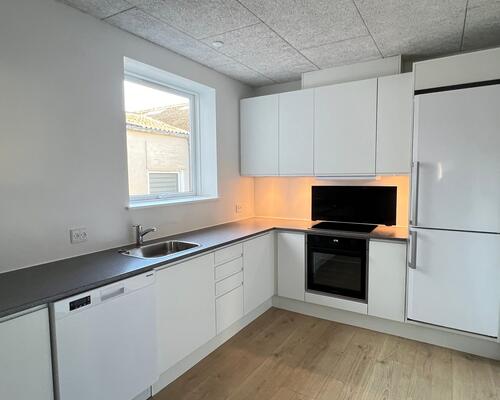 TOTAL renoveret lejlighed med tilladelse til husdyr