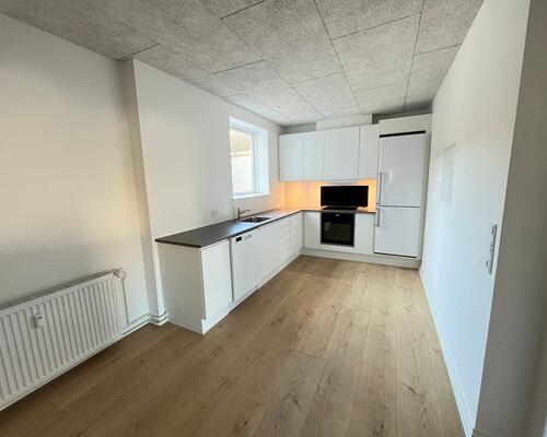 TOTAL renoveret lejlighed med tilladelse til husdyr