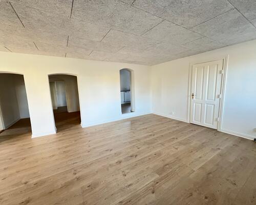 TOTAL renoveret lejlighed med tilladelse til husdyr