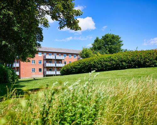 1 værelses lejlighed i Thisted