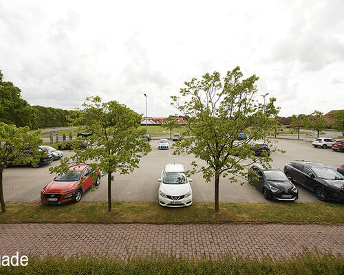 3 værelses lejlighed i Ølgod