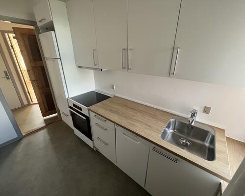 Rummelig 2-vær. i Horsens centrum!