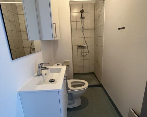 Rummelig 2-vær. i Horsens centrum!