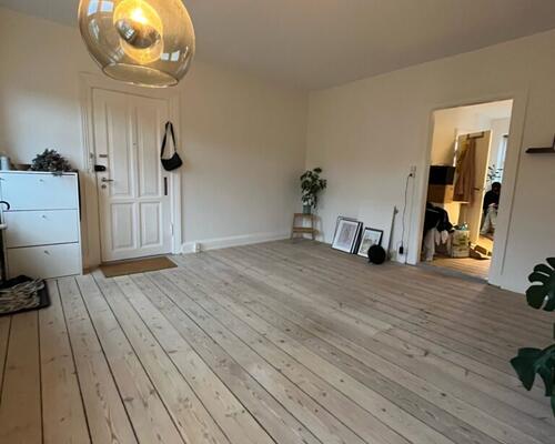 Hyggelig 2-værelses lejlighed med New Yorker-væg