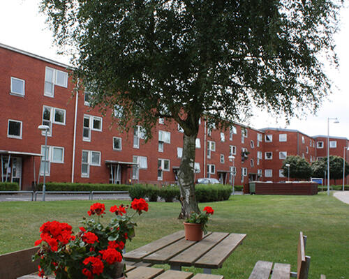 3 værelses lejlighed i Odense C