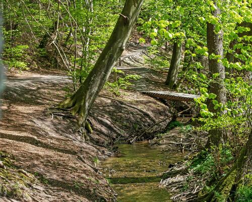 Skøn lejlighed til leje i Mølholm