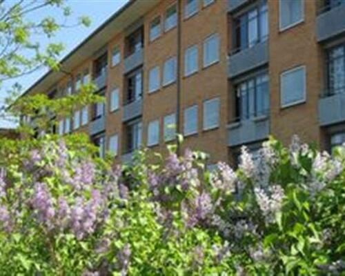 1 værelses lejlighed i Horsens