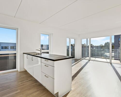 2 værelses lejlighed i Hedehusene