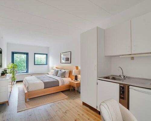 Overskuelig 1-værelses lejlighed