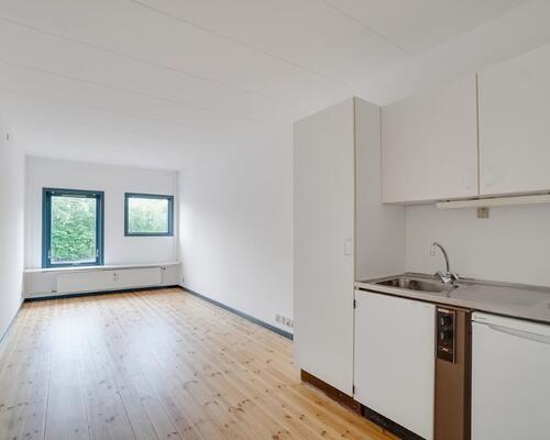 Overskuelig 1-værelses lejlighed