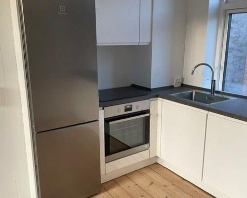 Skøn nyrenoveret lejlighed i Odense C.